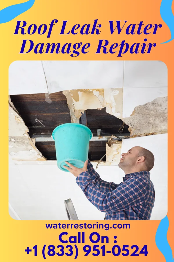 Roof Leak Water Damage Repair in Newberg, OR